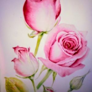 Meet your Posher, Diana